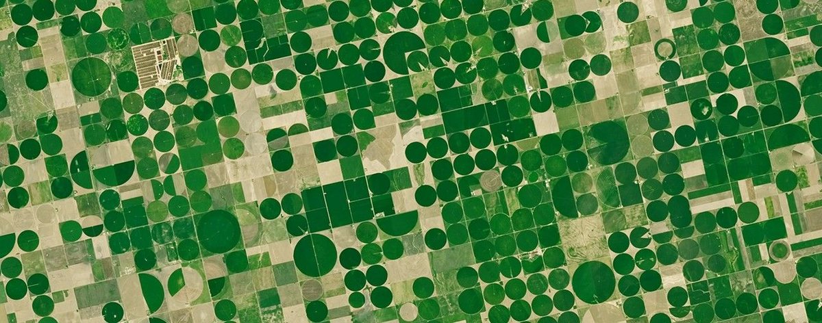 Center-pivot fields seen by the Landsat satellite: green circles over dry land.